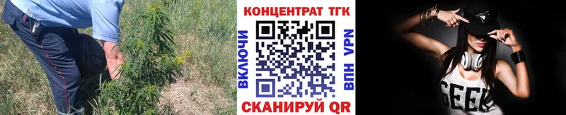 ТГК концентрат  цены   Нижнекамск 