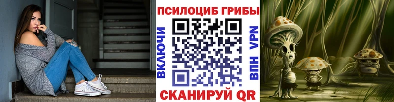купить наркотики цена  Нижнекамск  OMG ТОР  Псилоцибиновые грибы ЛСД 