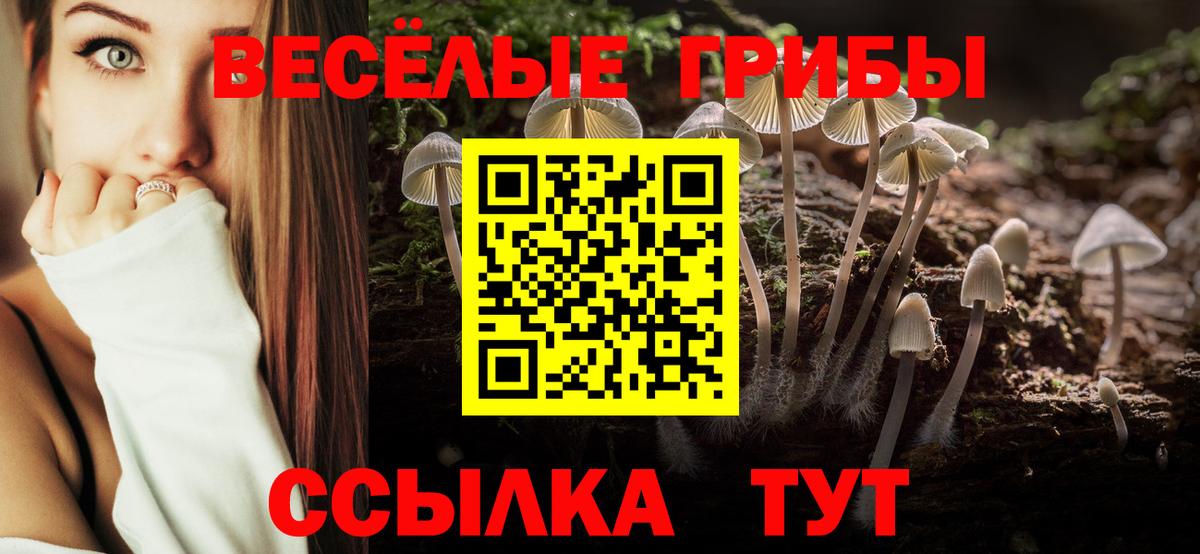 Псилоцибиновые грибы Psilocybine cubensis Нижнекамск