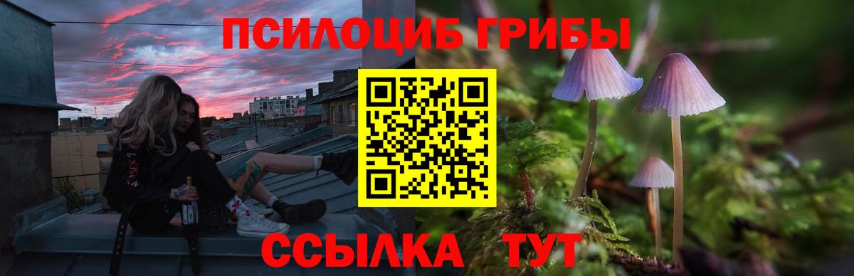 Нижнекамск  Псилоцибиновые грибы ЛСД  что такое наркотик  Вход с VPN 